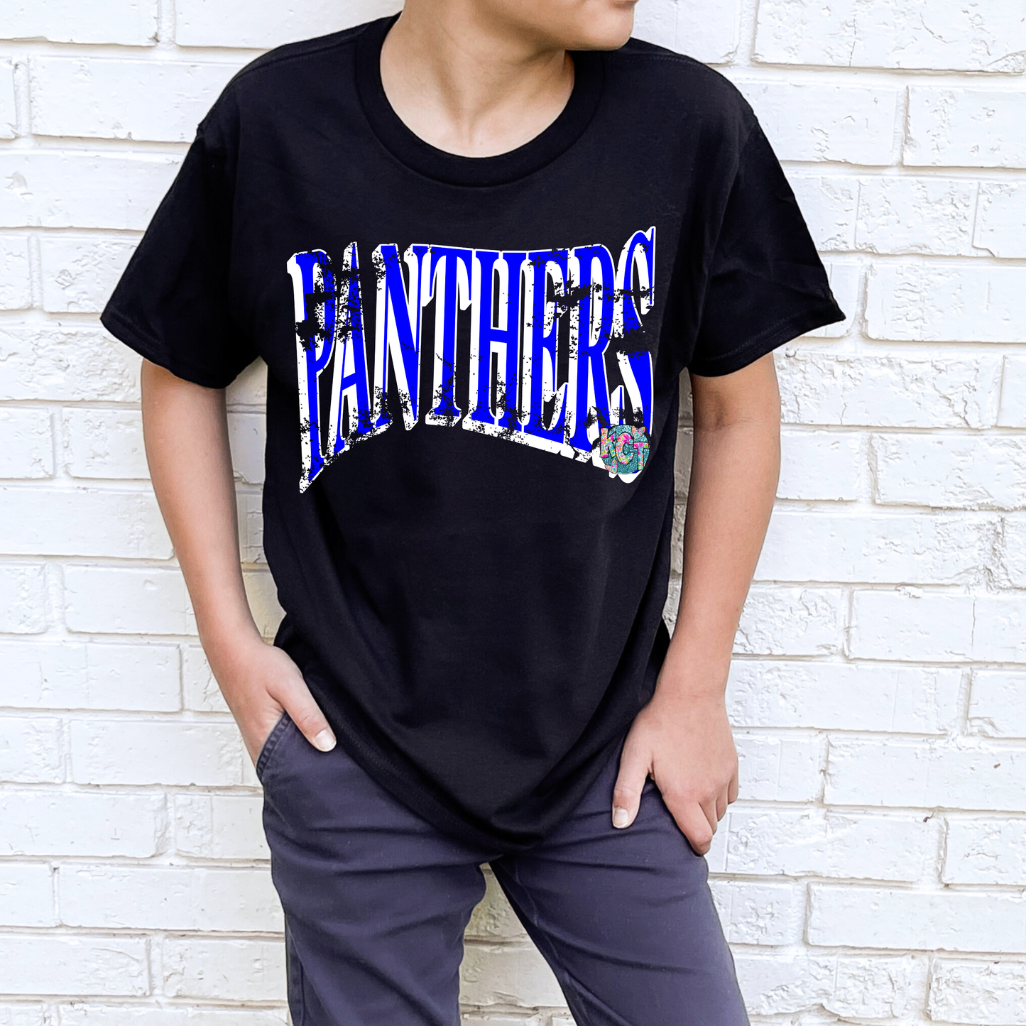 Panthers Distressed Tee